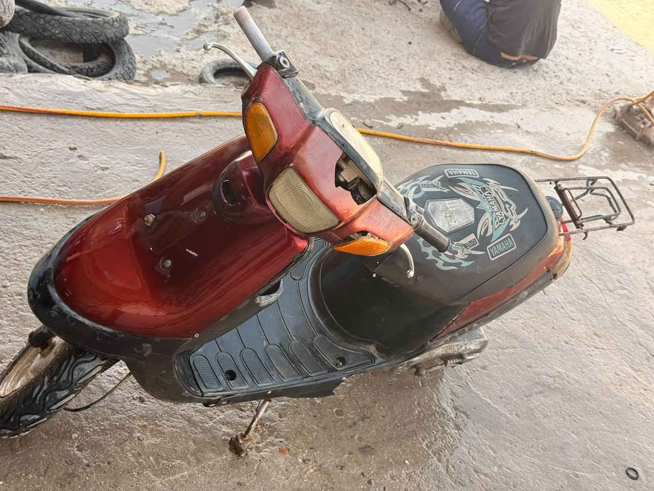 بطه • شغاله • نجف