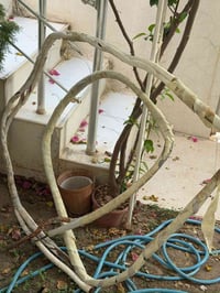 ٦ امتار ونص