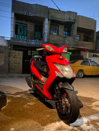 سكنس • ياباني • كفالة