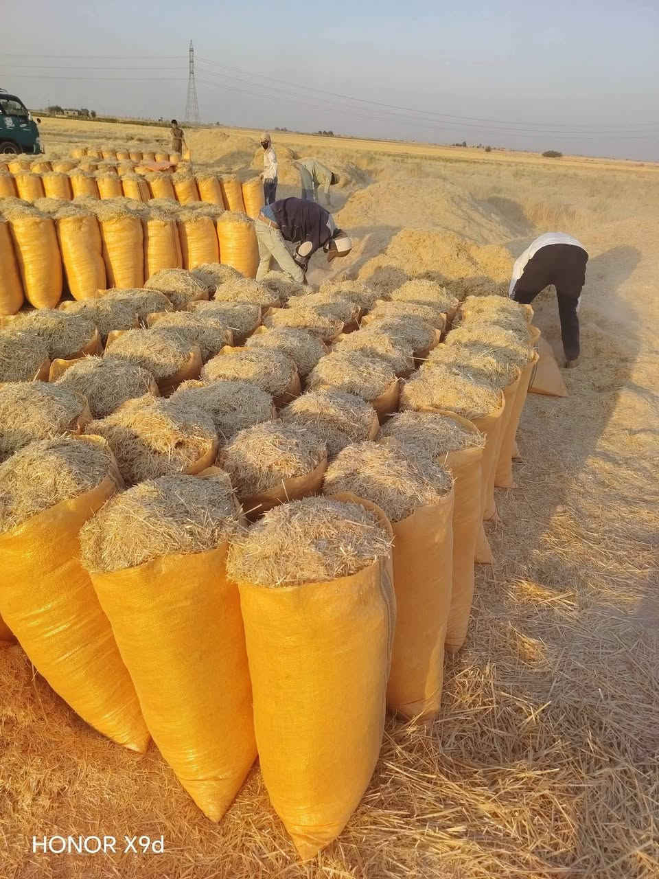 السلام عليكم يوجد تبن درجة اولى تبن مال السنة شرط تفريق سعر الزوج بل مكان 2500. ***********
***********
السلام عليكم يوجد تبن درجة اولى تبن مال السنة شرط تفريق سعر الزوج بل مكان 2500. ***********

نص مكتوب في الصور:
- HONOR X9d