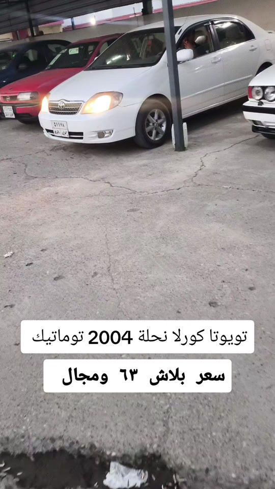 كورلا نحلة • ٢٠٠٤ • توماتيك