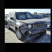 جيب رينكيد • ٢٠١٨ • وارد امريكي