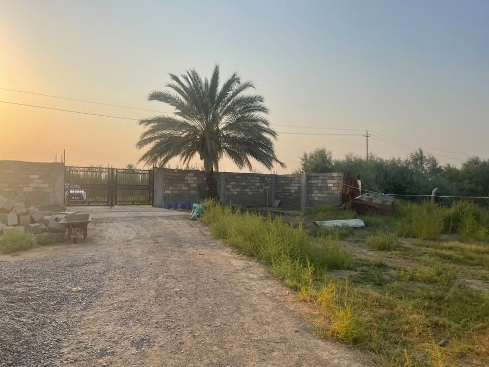 ة

📍 الموقع: بغداد – الطيفية، قريبة جداً من حي البعث.

✅ المساحة: دونم ونصف.
✅ نوع السند: طابو ملك صرف.
✅ الواجهة: 23.5 متر.
✅ العمق: 188 متر.
✅ الحدود: مسيجة بالكامل (بيرسي + واجهة بلوك).
✅ الماء: تتوفر مياه إسالة.
🌴 الأشجار: تحتوي على حوالي 20–25 نخلة مثمرة.
🏡 صالحة للزراعة أو الاستثمار أو السكن الريفي.
***********

الموقع 📍

https://maps.google.com/?q=32.847626,44.511669
