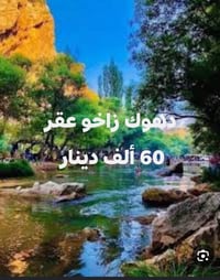 دهوك زاخو • ٥ أيام • فندق ٤ نجوم