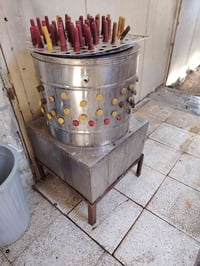 هلاسه • دجاج • جدد