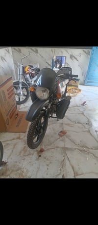 بوكسر • جبلي • ٢٠٢٢