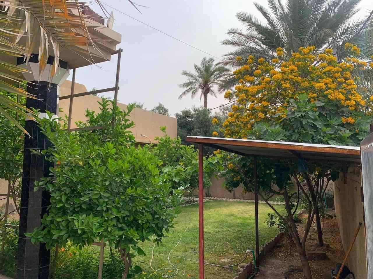 فر‎صة مميزة للبيع – دار ركن في أرقى مناطق الصويرة (حي دجلة)
‎📍 الموقع: واسط / قضاء الصويرة / حي دجلة�منطقة هادئة جداً وقريبة من المدارس والسوق الكبير و ايضاً بالقرب من نهر دجلة، موقع مثالي للسكن العائلي الراقي وامامهُ مساحة خضراء خاصة بمكتبة الصويرة العامة

‎( المساحة 352 م² (حسب السند

‎على ارض الواقع 382�نوع العقار: طابو صرف 

‎ركن (زاوية بواجهتين ١٥م والاخرى ٢٢ م)� عدد الطوابق: طابقين + غرفة نوم بالطابق الارضي 

+٣ غرف نوم بالطابق الاول بمساحات كبيرة

 ومطبخ وهول واستقبال  ومجموعتين للصحيات داخلية 

‎و واحدة خارجية

‎

حديقة كبيرة �عرض الشارع:15  متر (شارع نظيف وهادئ)

‎بناء متين وأساس قوي�محدث داخلياً وقابل للسكن مباشرة�تصميم مريح وعملي للعائلة�موقع مميز بجانب مساحة خضراء وقريب من الخدمات�هدوء وخصوصية عالية بعيد عن الزحام

‎ الدار تعتبر خيار ممتاز للسكن أو الاستثمار بسبب موقعها وقيمتها المستقبلي

‎ السعر: عند الاتصال� 

‎للتواصل: خاص أو اتصال

***********
