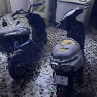 ماكس عدله • ثنين • تحتاج شغل