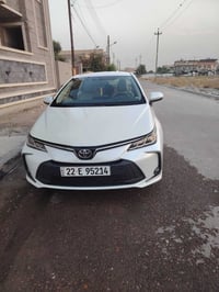 ساز ٢٠٢٤ • كفاله عامه • فول عده