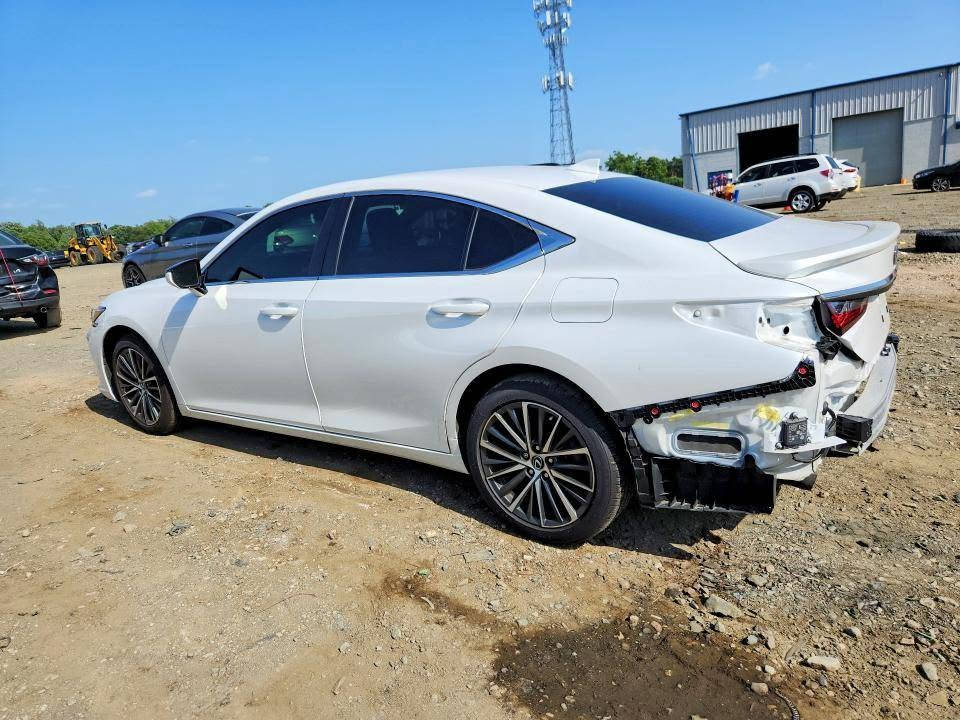مزاد الاثنين\\\ 2025 LEXUS ES 350 BASE
♦️️  تاريخ المزاد 2026/9/14
♦️️ الضرر : موضح بالصور 
♦️️ السعر : حسب المزايدة
♦️ الوقت : الحضور الساعة الرابعة مساءا
♦️
⚠️ علما هذا نموذج بسيط من السيارات التي تعرض في المزاد
🏢 وكيل شركة البلداوي الوكيل المعتمد لشركة كوبارت في العراق 
📍 عنوان الشركة:- المحاويل شارع حله /بغداد العام مقابل جامع الامام علي (عليه السلام )
🔸️ للاستفسار الاتصال بالارقام التالية :-
☎️ - -*********** -*********** -
🛑 رقم الشكاوي: *********** واتساب 
⏰ اوقات العمل
يكون الدوام طيلة ايام الاسبوع عدا ( السبت والاحد ) عطلة المزاد 
🧑‍💻 يبدا العمل من الساعة 3:30  ظهرا 🕑 حتى الساعة ال10 مساء 🕙
🙋 نتشرف بزيارتكم لمركز عيون بغداد لمزادات السيارات الامريكية 
#عيون_بغداد
#_لمزادات_السيارات_الاميركية #وكيل_شركة_البلداوي
#الوكيل_المعتمد_لشركة_كوبارت_في_العراق
#استيراد #معارض_السيارات #فتح_حاويات #معارض #مزادات  #وارد_امريكي #سيارات #معارض_الرياض #العراق #الامارات  #الاردن #مشاهير_تيك_تو
