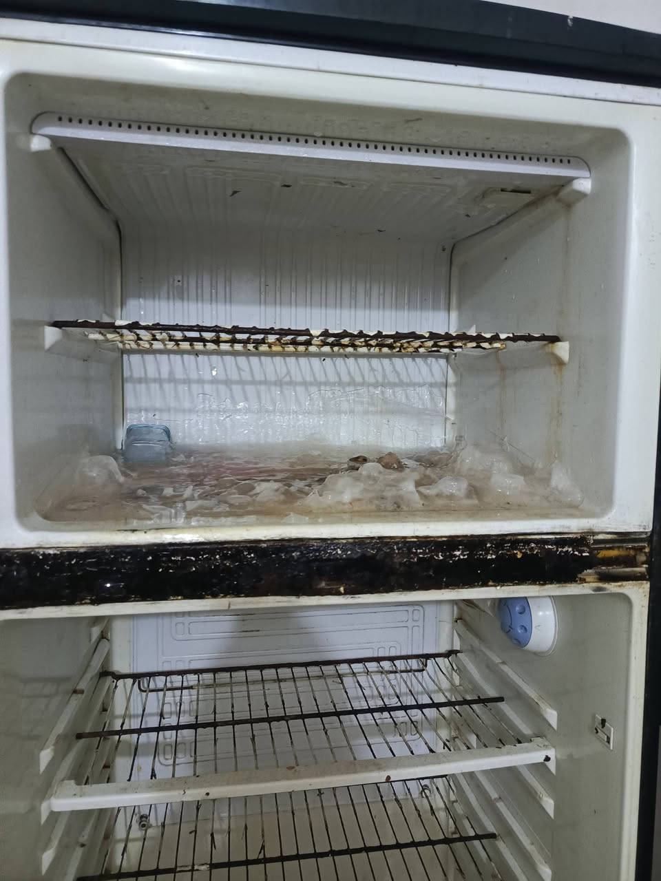 ثلاجة شغَاله ونضيفة وتجميدها فول الفوَل وجوا تبرد كذالك تبريدها  يخبل الجوة بيها خللل واحد فقط البيبان واكعه مالاتها ومسوينهن برزة يعني ينفتحن وينسدن طبيعي،++
وكاونتر كذالك للبيع هم مابي شي تريد راسلني وادزلك فيد كامل اله ..
رقم للاستفسار 👇
***********
