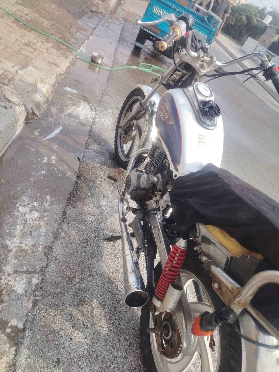 بدون وراق • امحموديه • الطيفيه