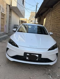 سيل ٥ • ٢٠٢٥ • كفاله عام