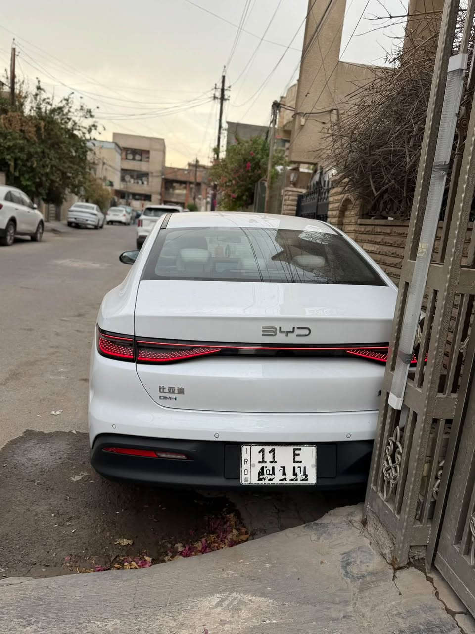 سيل ٥ • ٢٠٢٥ • كفالة عامة