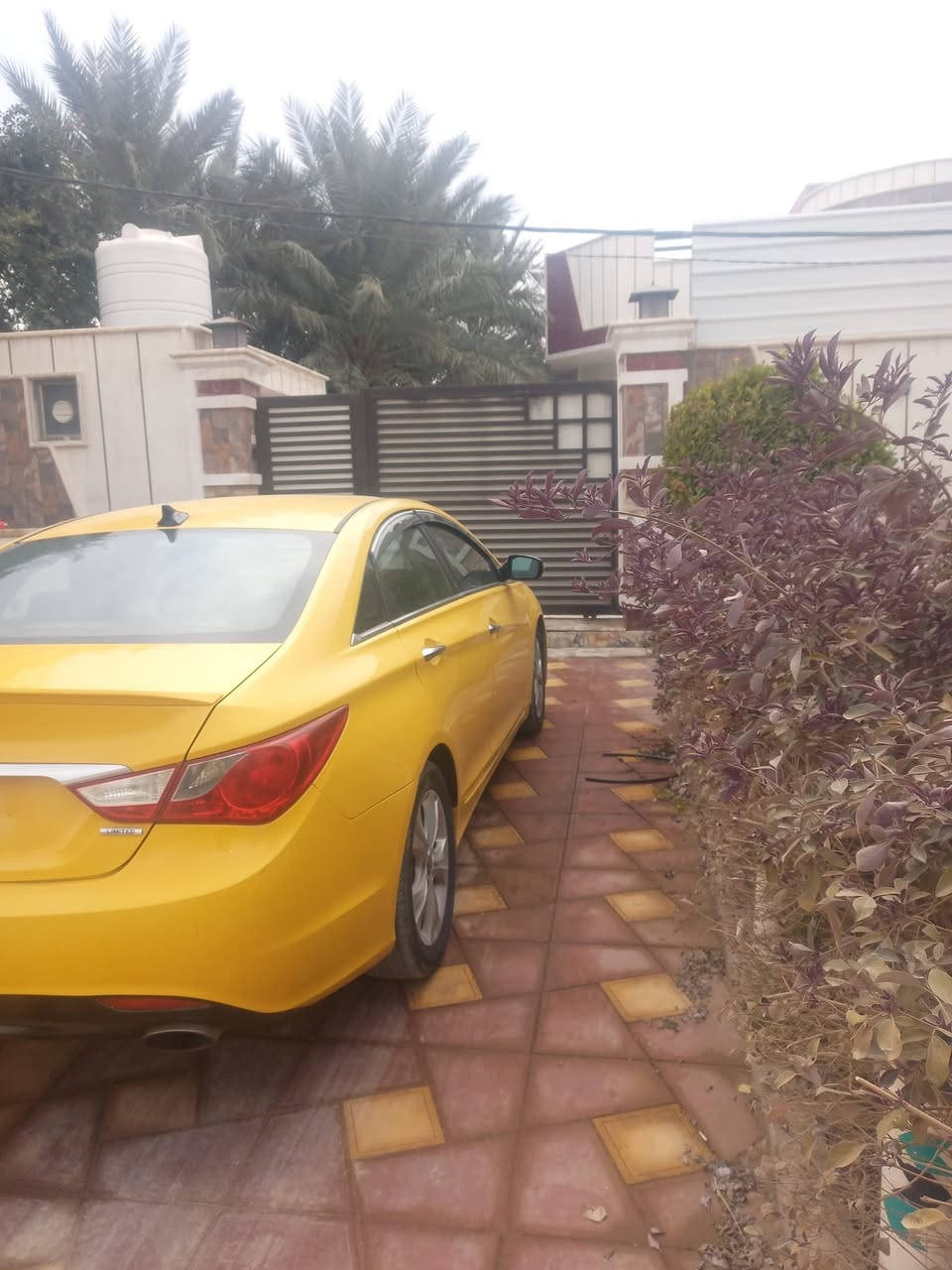 سلام عليكم سوناته 11امريكي تيربو حجم محرم 2400 رقم بغداد بسمي سياره فول موصفات كير محرك خير من الله مكان سياره بابل حله 
***********  سعره 95
