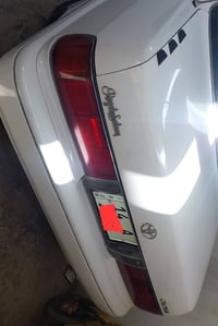 ارنب • بصرة الزبير