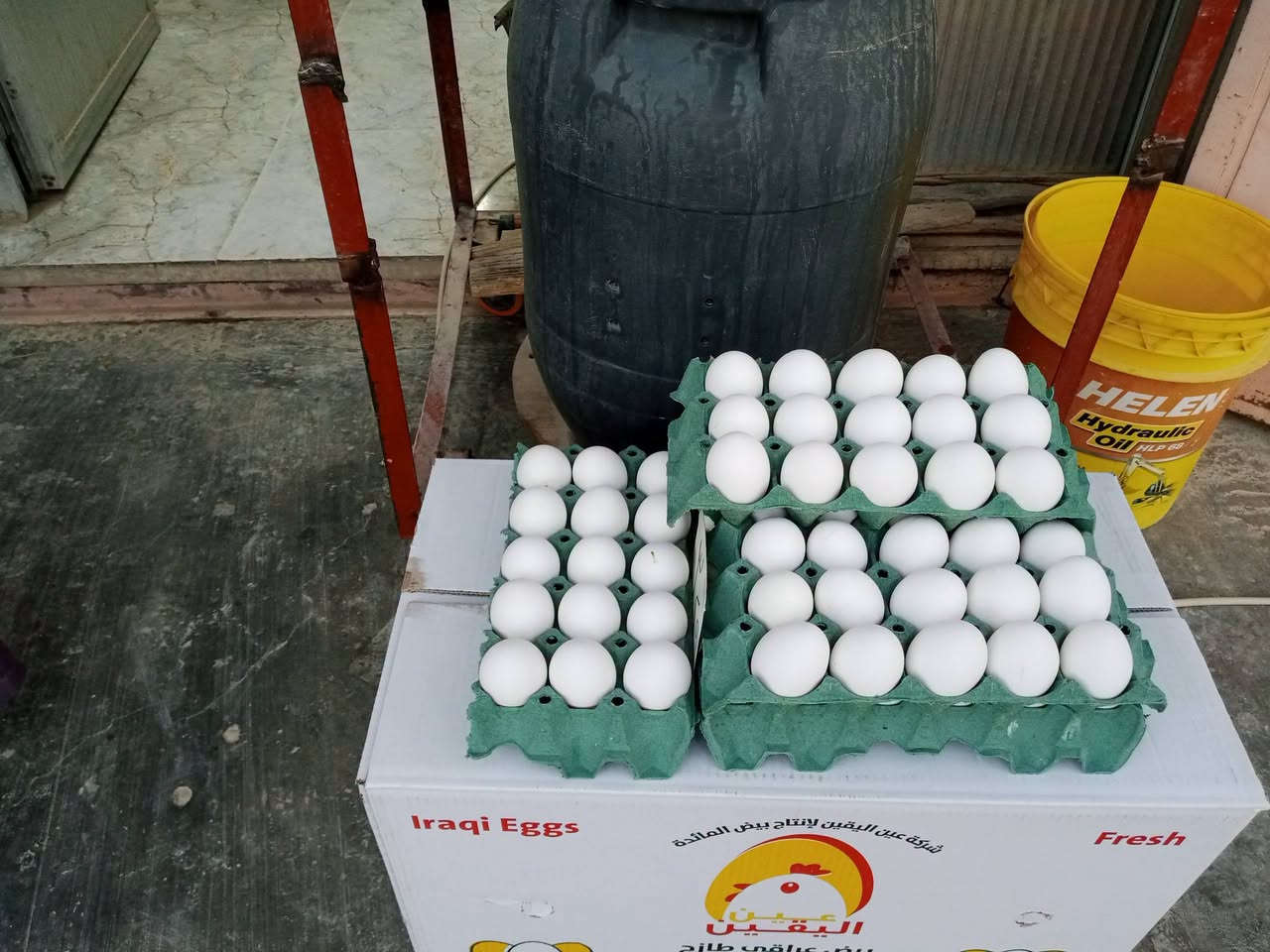 بسم الله الرحمن الرحيم 
تم وصول وجبه جديدة بيض أبيض سعر الطبقة 6250 و نصف طبقة ب 3250 لدى محل العائلة 
العنوان الانبار ـ قضاء عنه مقابل العلوة المركزية/ مجاور صيدلية عبدالله رياض الدباغ 
يتوفر لدينا خدمة توصيل ألف دينار فقط داخل عنه للاتصال على الرقم التالي ***********
