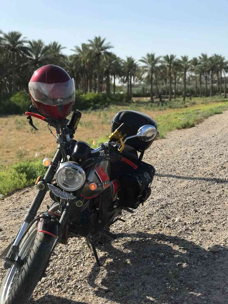 دايون لايتي • ٢٠٢٢ • مرقم