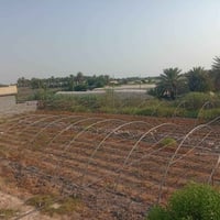 بيوت زجاج • لبناني • عراقي