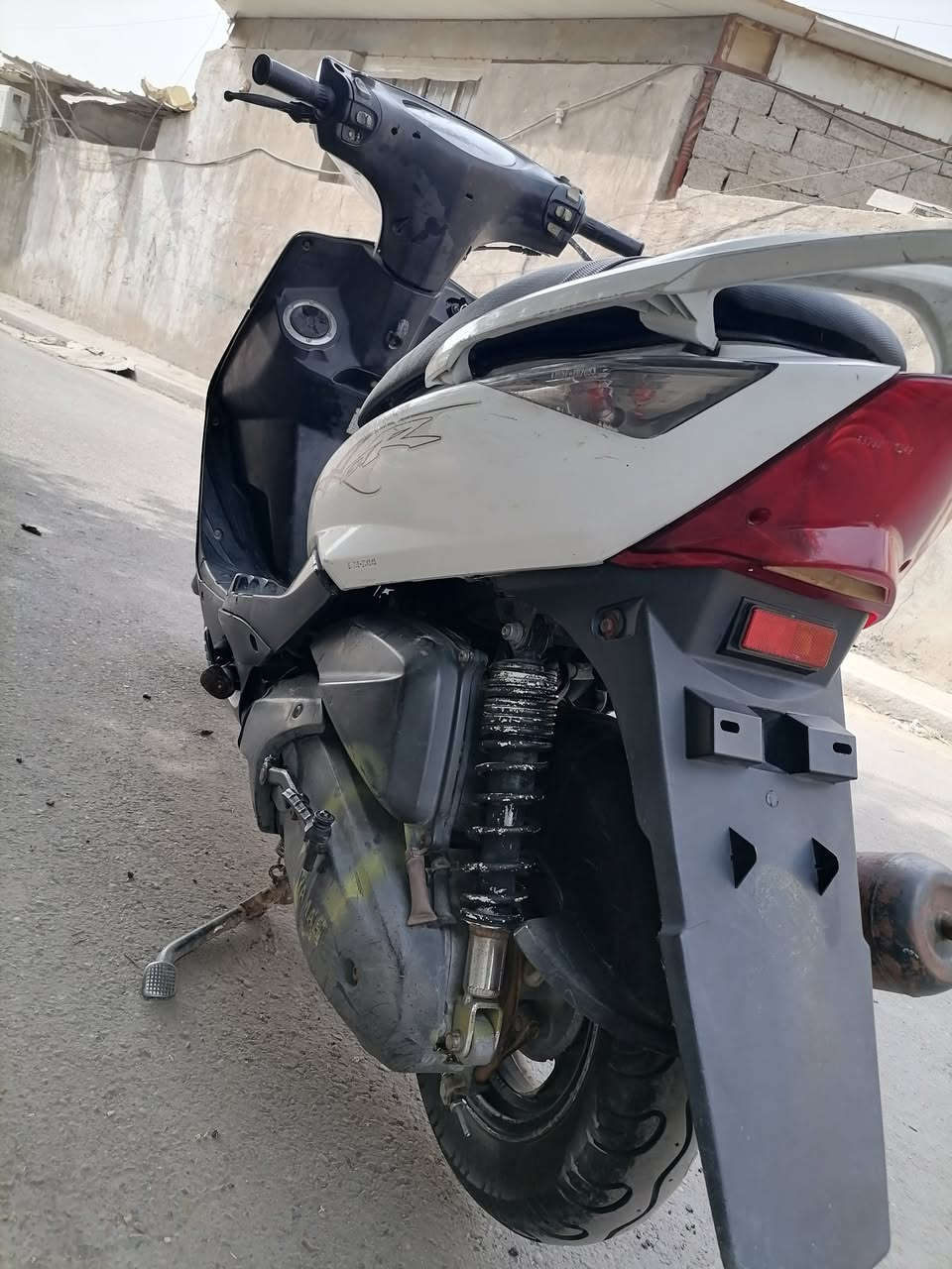 ثعلب • سلف • كفالة