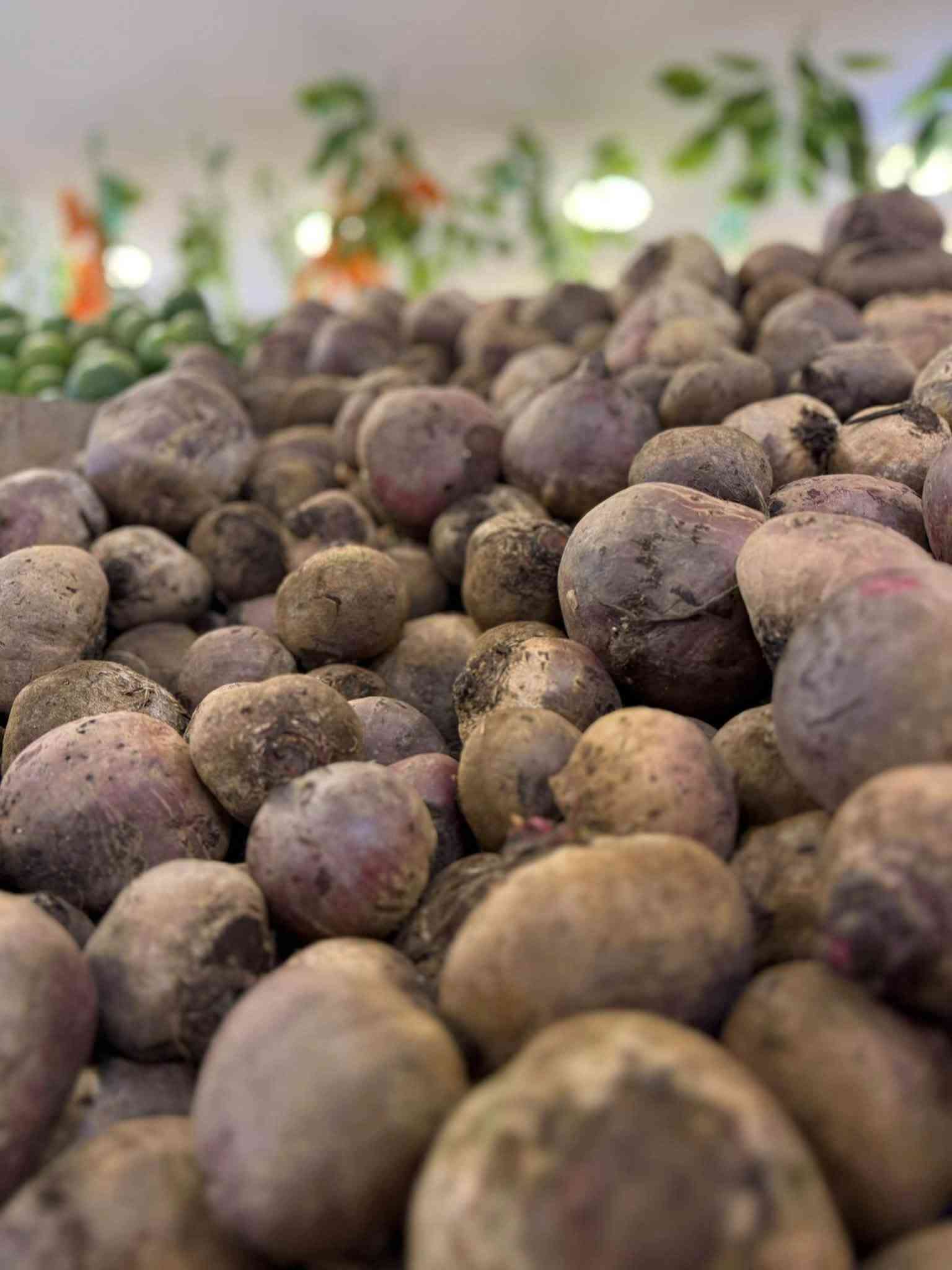 أهلاً وسهلاً بكم من علوة زاد الخير 🌿

هسه صار تكدر تطلب كل احتياجاتك بكل سهولة من خلال موقعنا الخاص 🛒

اختار طلبك ورتّبه من الموقع، وإحنا نوصلّه لباب البيت داخل بسماية 🚚

اضغط على الرابط وجرّبها بنفسك 👇
https://store-zad-al-khair.pages.dev/

