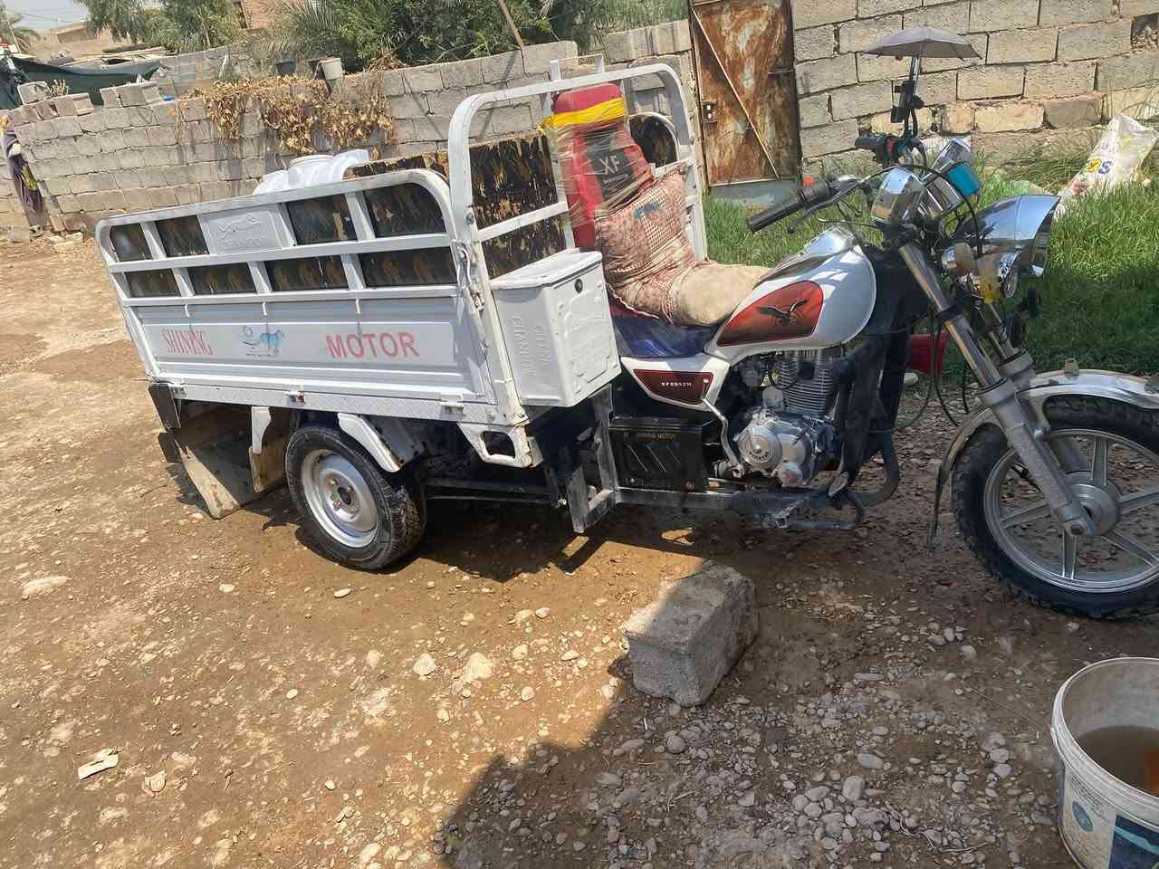سترته  مديل 25مليونينو200 بيعه مجال ***********
