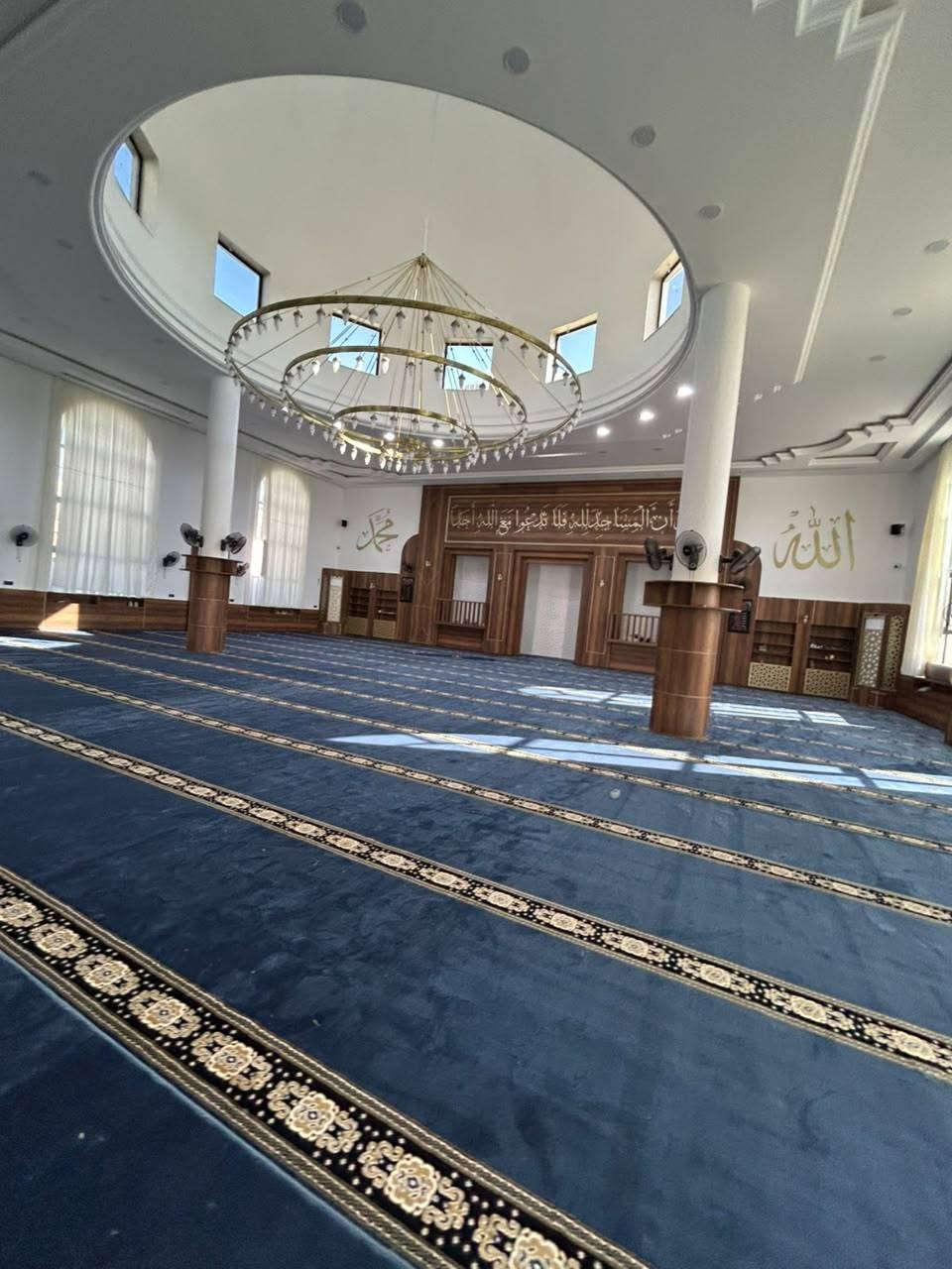 🕌 شركة جواد للسجاد والمفروشات 🕌

متخصصون في تجهيز وفرش الجوامع والمساجد بأجود الخامات وأفضل أنواع الخيوط التركية 🇹🇷

✨ جودة عالية
✨ تشطيبات أنيقة ومميزة
✨ تجهيز متكامل للجوامع والمساجد
✨ خدمة وتجهيز في محافظة العراق

📞 للاستفسار وطلب عرض الأسعار  تواصلوا معنا الآن:
📱 ***********
📱 ***********

📩 اتصل بنا اليوم، ودعنا نجهّز مسجدك بأجمل وأجود أنواع السجاد والمفروشات.

شركة جواد للسجاد والمفروشات
🤍 لأن بيوت الله تستحق الأفضل
