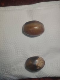 عقيق ملاگط
