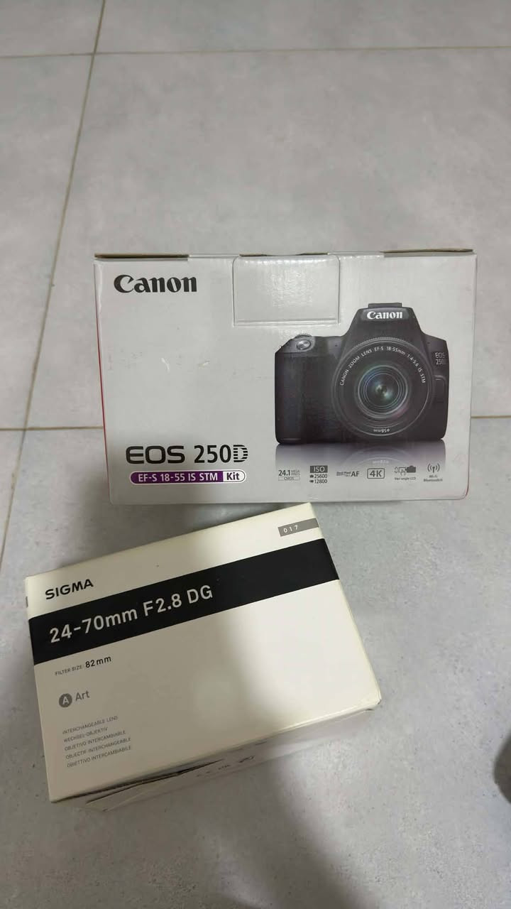 كانون 250D • عدسة Sigma 24-70 • فلاش Godox V1