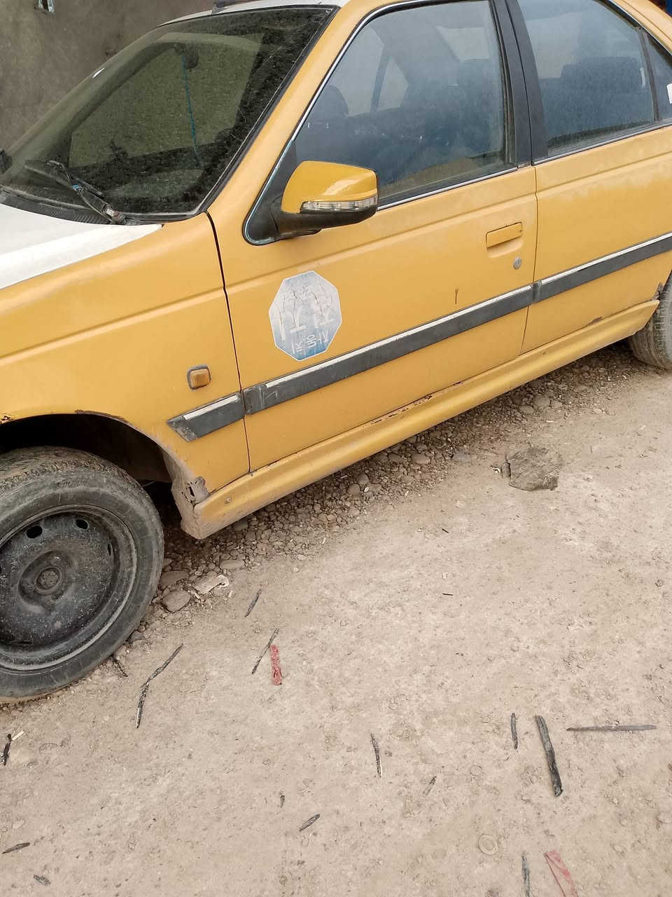 بارس ٢٠١٣ • مكينة زينة • راعي موجود