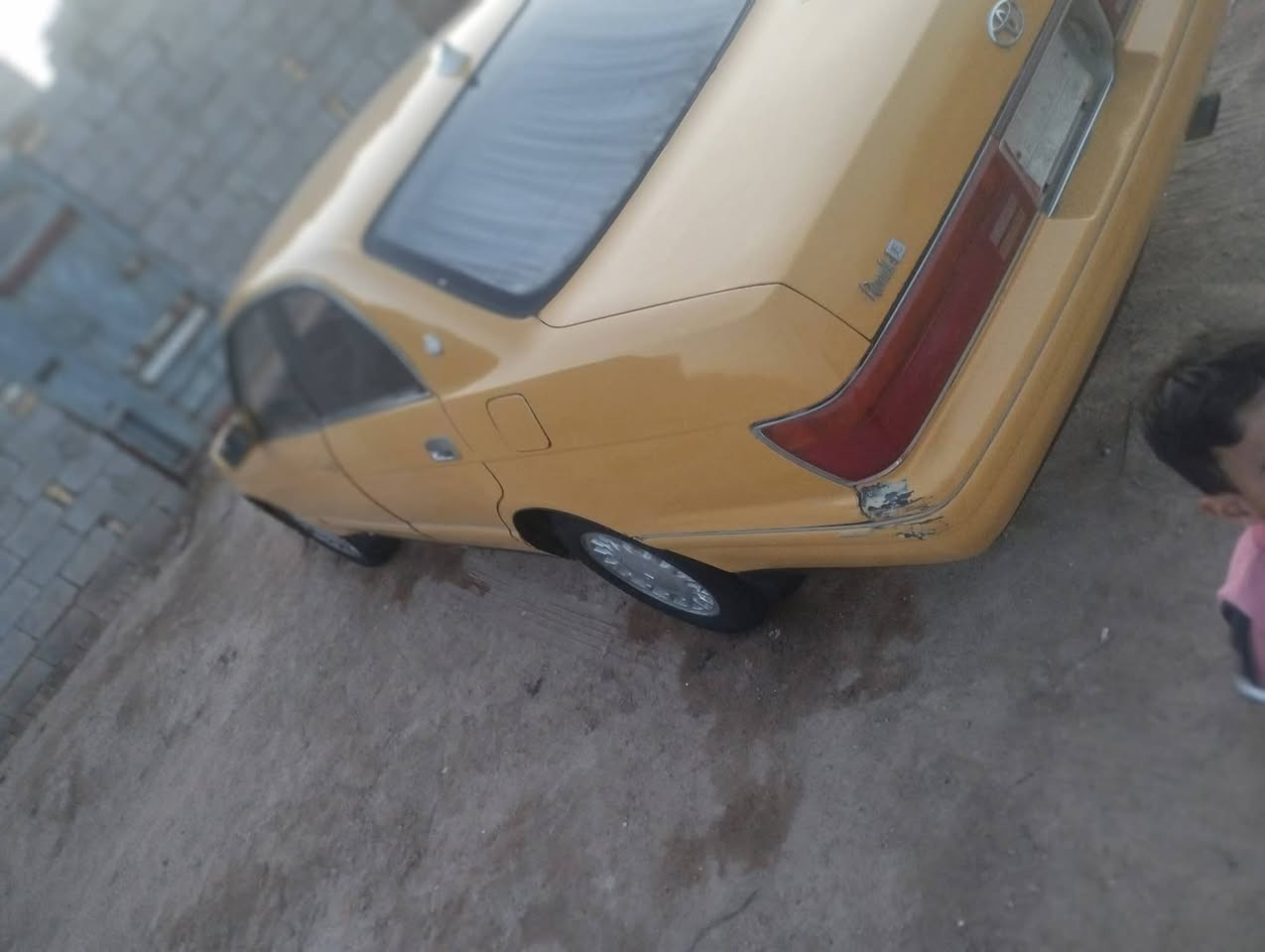 بطه فصل مكفوله عيب شرعي وكص ونقل وضربه  (مكينه ادخن) والباقي شرط الفحص مكاني الشطره *********** السعر 30وبيها مجال
