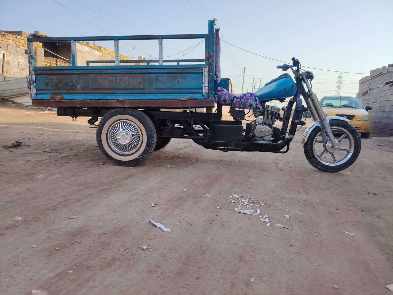 ستوته • بدون أوراق