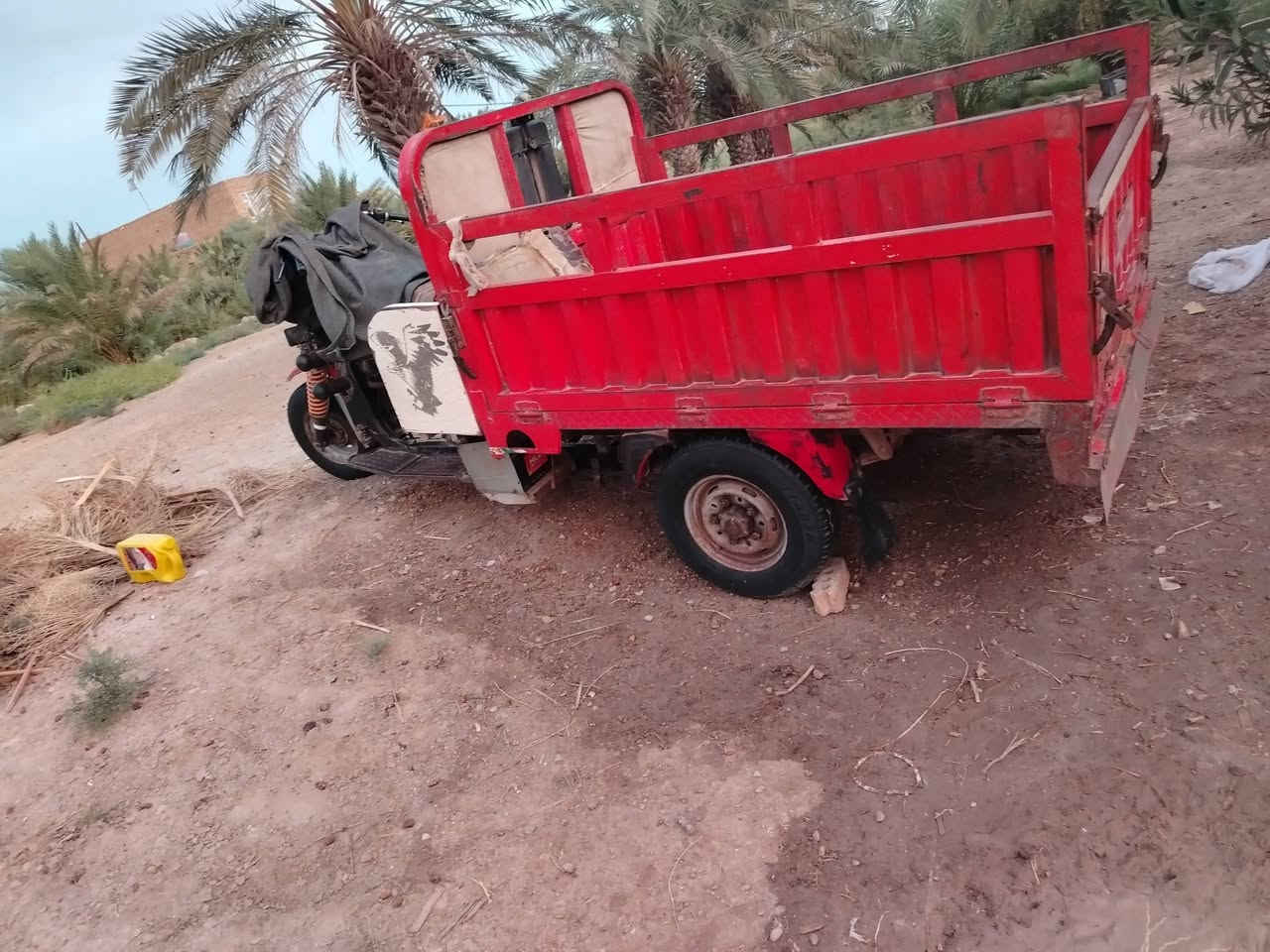 ستوته • همر • اوراق اصولي