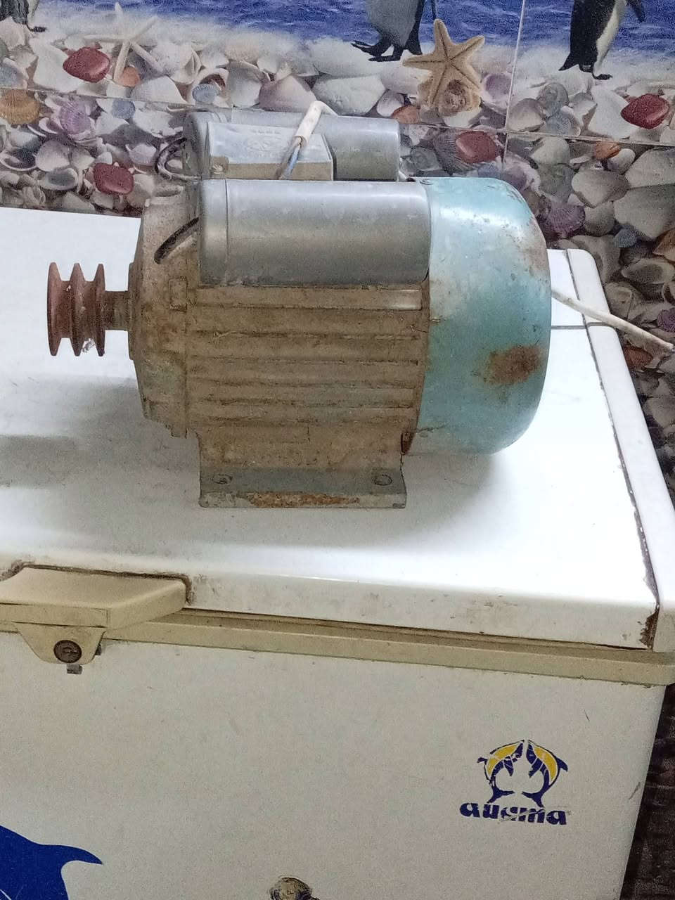 ماوطورين للبيع واحد اثنين حصان والثاني خمسه حصان ودمبر المكان بغداد ***********
