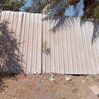 قمرية جينكو • ٥×٣م • نظيفه