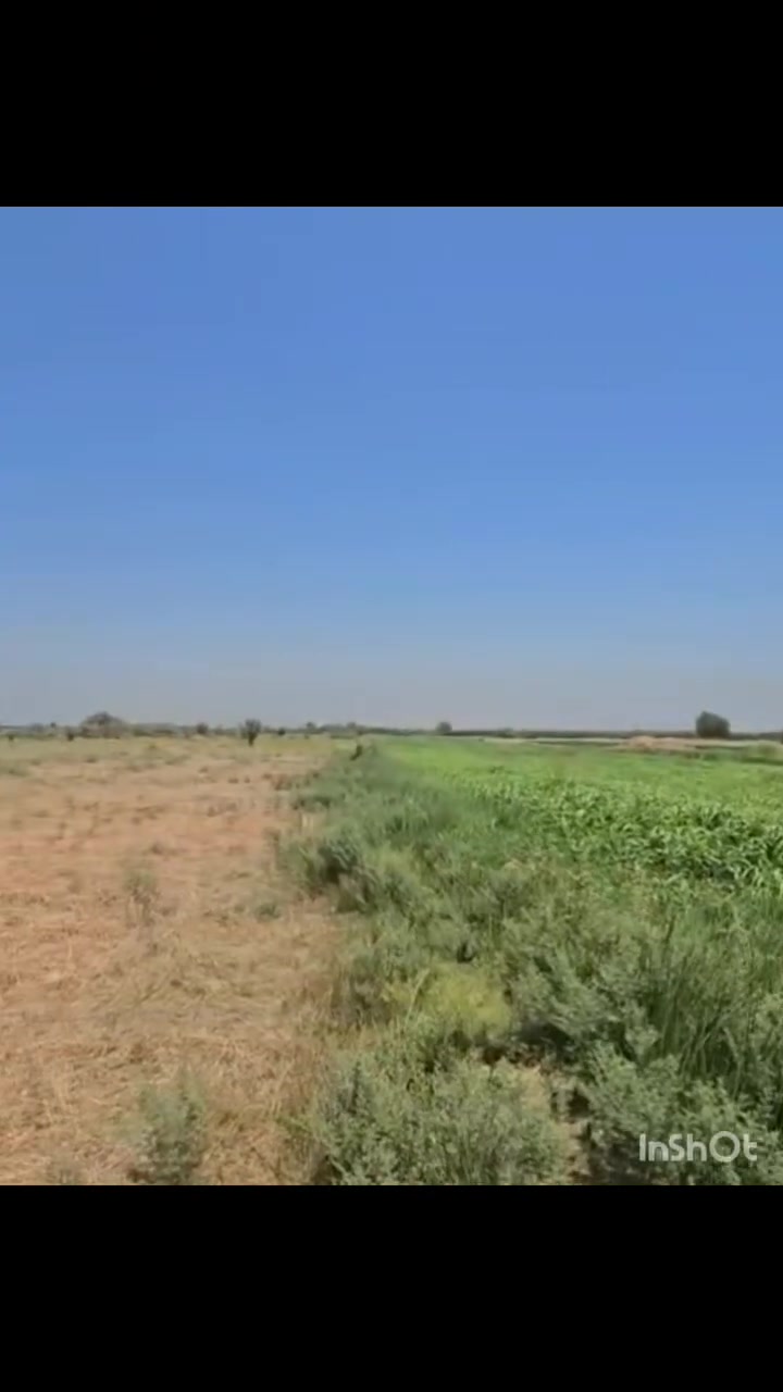 السلام عليكم ٤دونم للبيع طابو زراعي سند 25 كربلاء طوريج الخيرات منطقة الكرافة واجهة ٣٠ متر الكهرباء والماء السقي والاسالة ٢٥٠ متر عنها سعر الدونم ٢٧ للاستفسار الاتصال على الرقم *********** او ***********
