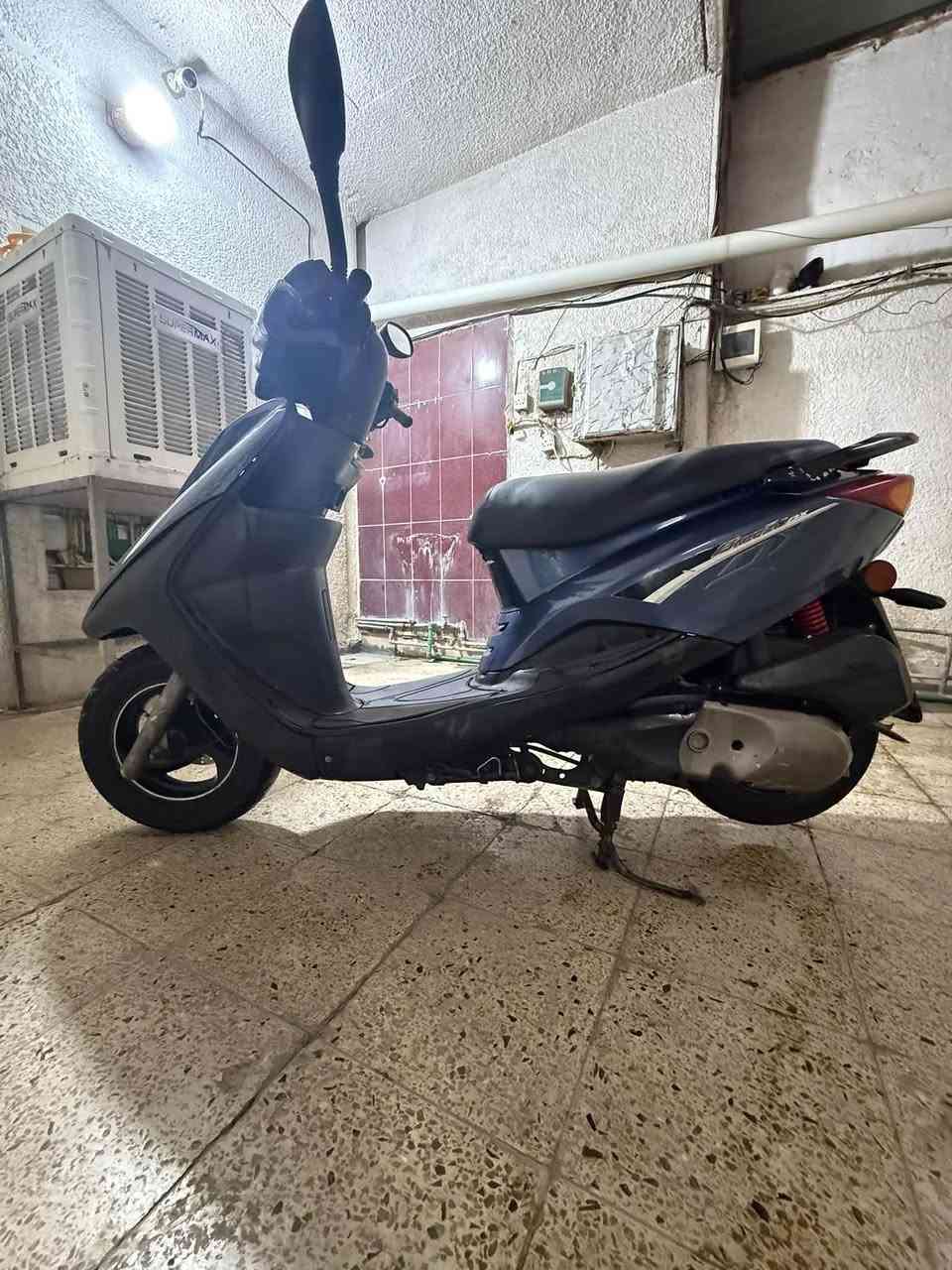 بريز ببغاء • مكفولة • كفرات تجارية