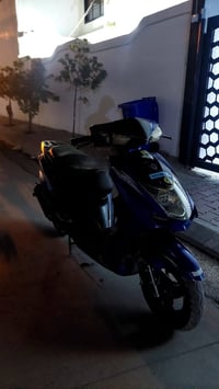 ماكس سكنس • بوشه 55 • نضيف