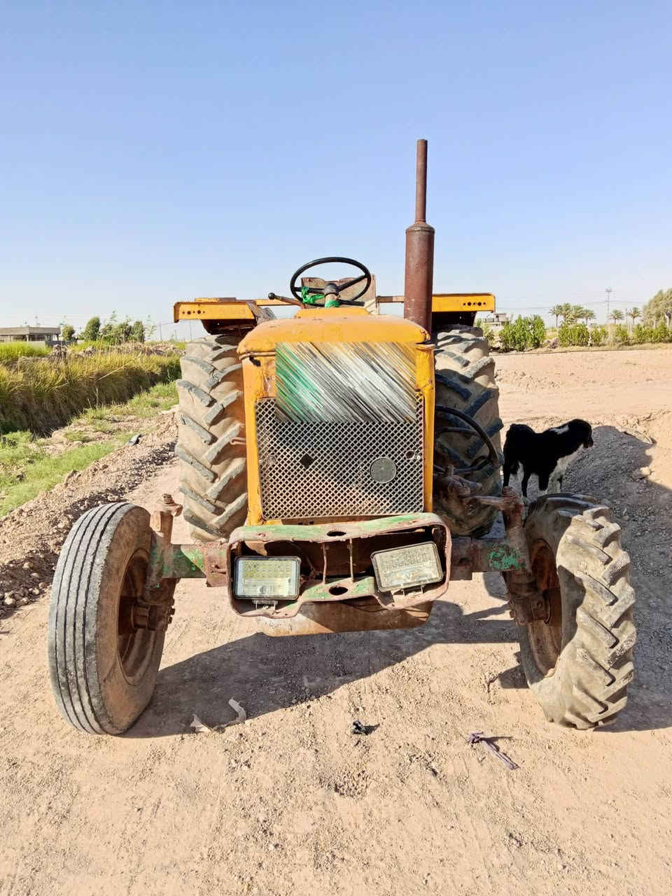 مكينه للبيع نوع عنتر موديل 86 علما ان رقمها انجليزي مشروع وطني تستلم 800 لتر كاز في الشهر سانويه عظم عاج اصدار 2026/8/19 تنتهي 2030/8/19 مكينه النظيفه من ناحيه المحرك والتايرات دار ثاني يوم مكاني بابل قضاء جبله للاستفسار والاتصال على هذا الرقم 
***********
