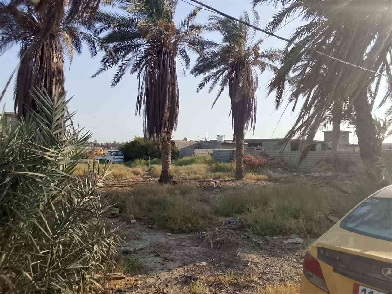 السلام عليكم قطعة 900متر للبيع سند 25علا طابو المحمودية المكان بغداد اليوسفيه قرب سريع الدوره الجديد الرقم ***********
