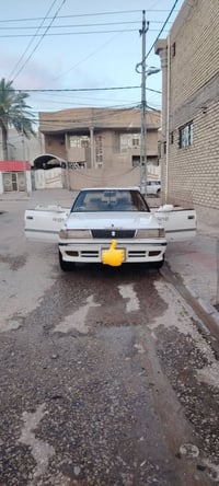 شيزر • النجف • تحتاج حداديه