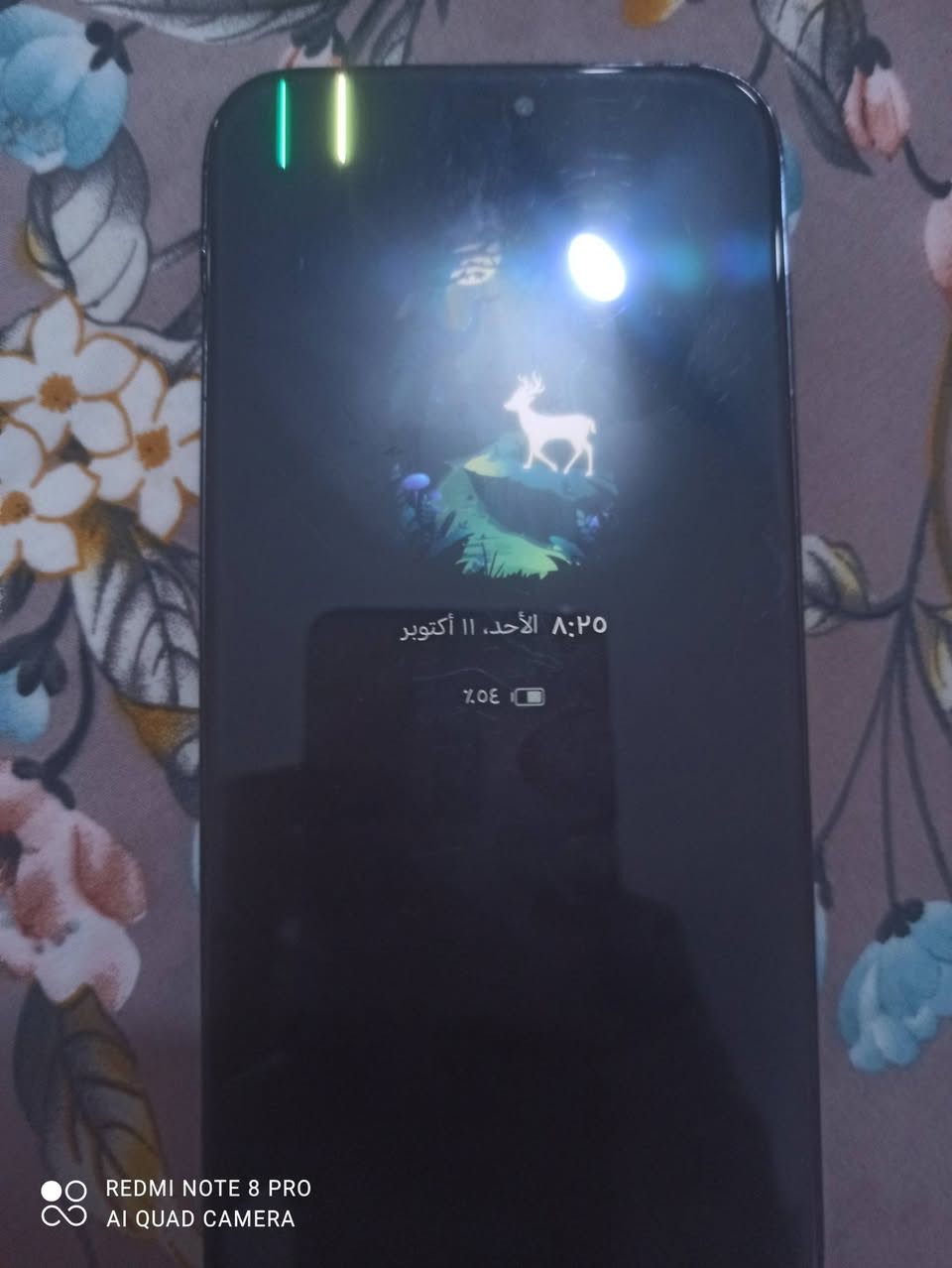 هونر اكس ٨ • ٢٥٦ • شاصي اضرار