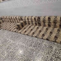 جلسه عربيه • ٧ دواشك • ١٤ متر