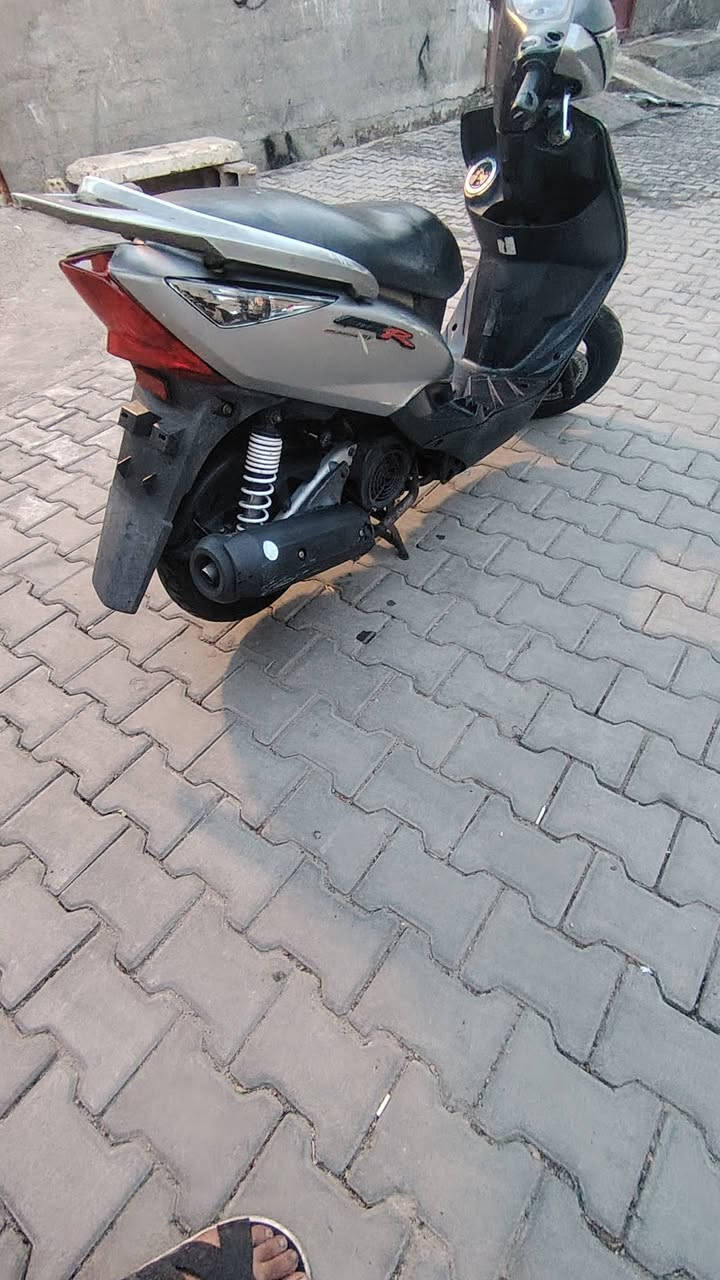 ثعلب نوزل • بلاديه • خرسه