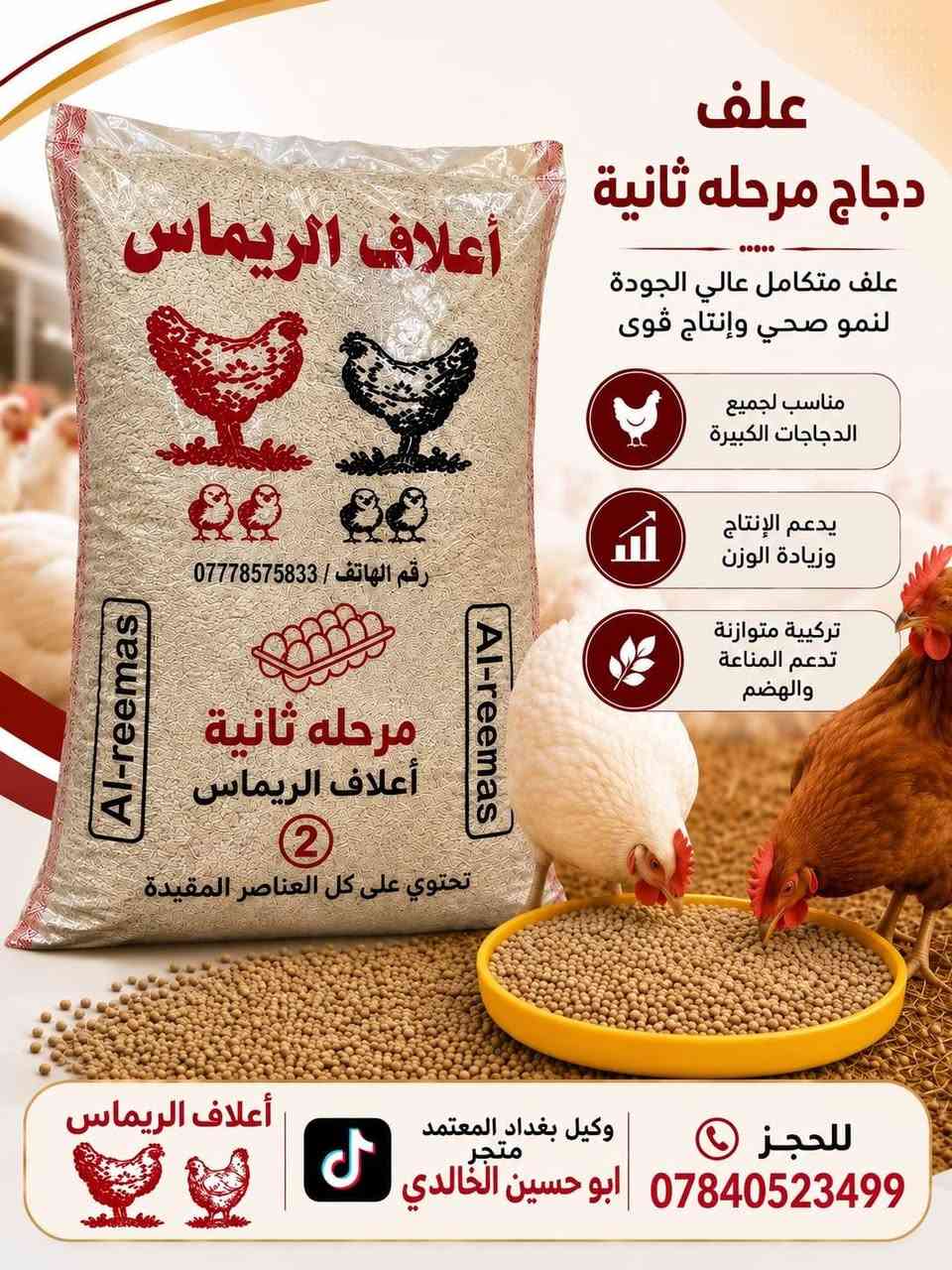يا الله سلام عليكم  وكيل معتمد في بغداد وضواحيا 
اعلاف الريماس تجهيز  اعلاف الريماس 
في بغداد وضواحيا اعلاف الريماس غني عن تعريف
لمجربه اول مره معافه يوجد توصيل  بغداد  وضواحيا  
*********** رقم اعلاف الريماس  بي واتساب
تجهيز محلات ليريد يسترزق بغداد  وضواحيا 
تجهيز اعلاف الريماس 
مرحله ااولى
مرحله ثانيه
مرحله ثالثه سوبر بياض
 بادارت نوار الريماس 
اعلاف الريماس
