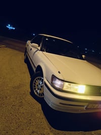 شيزر • ١٩٩٢ • الديوانية