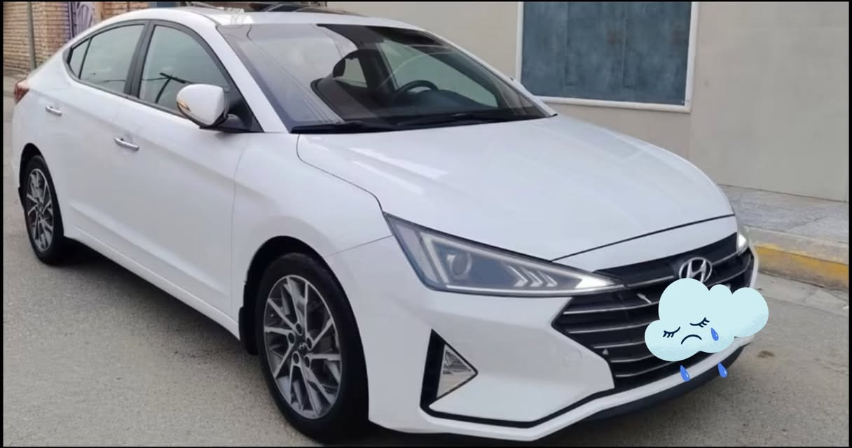 الانتره • ٢٠١٩ • رقم اربيل
