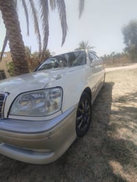طك كارتون • ناشف • بابل