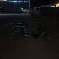 هارلي • ٢٠٢٥ • برك خلفي عاطل