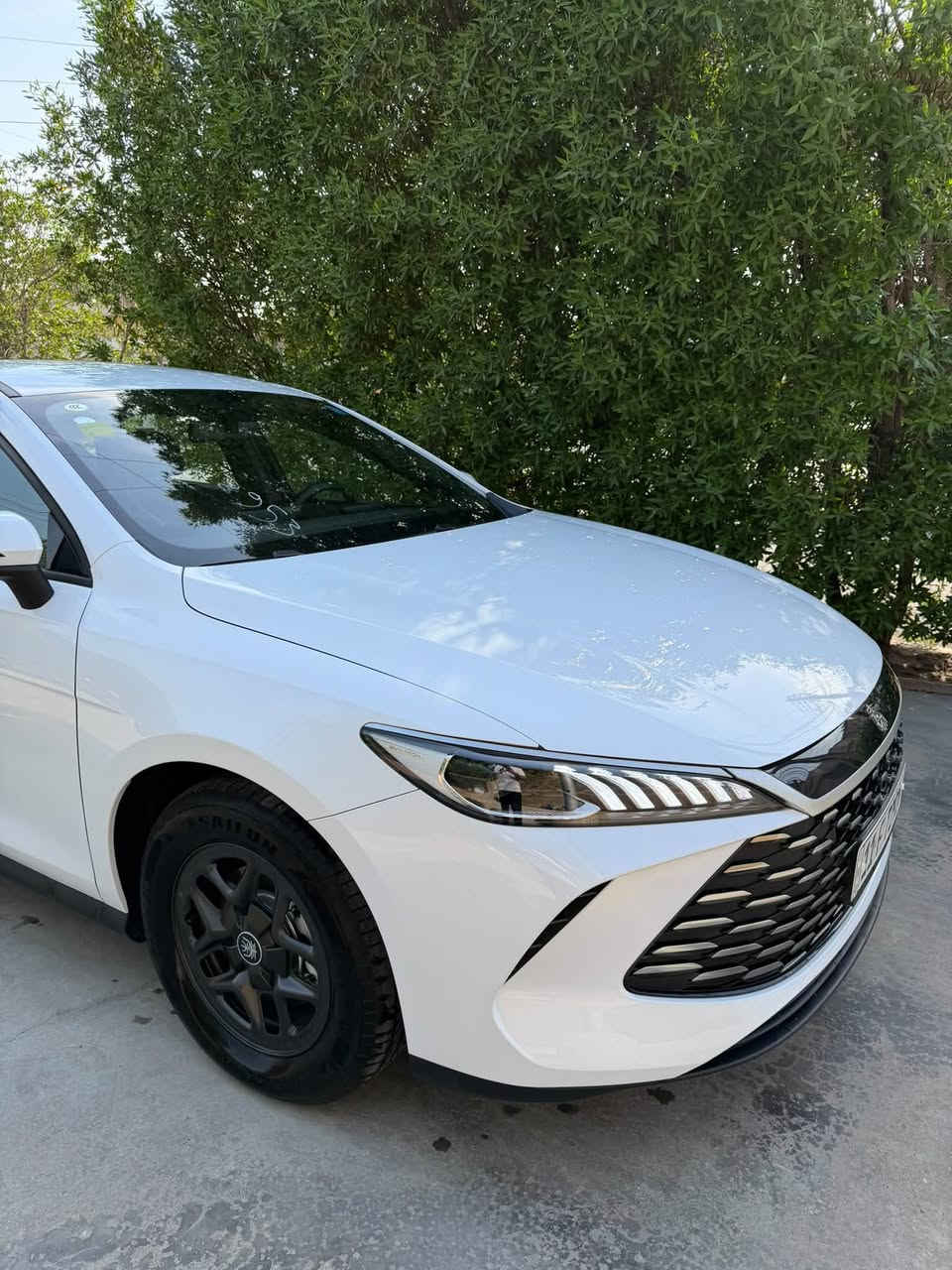 السلام عليكم للبيع فقط بدون مراوس نقد بدون اقساط BYD 2025 كن بلاس قبل شهر رقمتها على ايدي ماشية 7 الف كليو متر المجموع الكلي رقم بغداد باسمي كفاله عامه بدون شخط او رصعه سونار مرفق مواصفاتها معرفة غراضها كامله شاحن اصلي وفوم وكارت الشاشه محدثه اخر تحديث مع تنزيل كل البرامج بيها دخل زيتوني اصلي مكاني بغداد السعر 21 مليون وبيها مجال قليل 
***********
